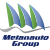 logo Metanauto Group