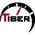 logo TIBER