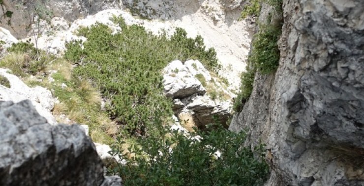 Esposizione