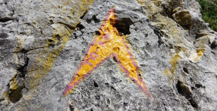 Segnavia