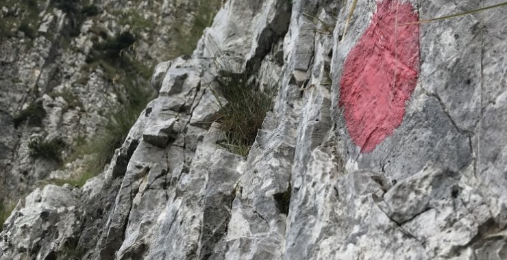 Segnavia
