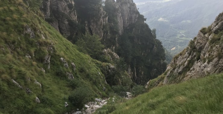 Vajo Berti