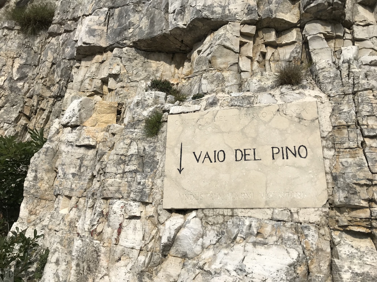 Vajo del Pino