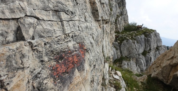 Segnavia Cengia Forni Alti