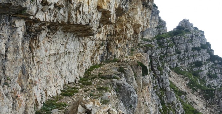 Cengia Forni Alti