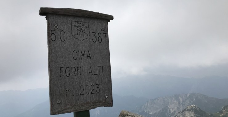 Cima Forni Alti