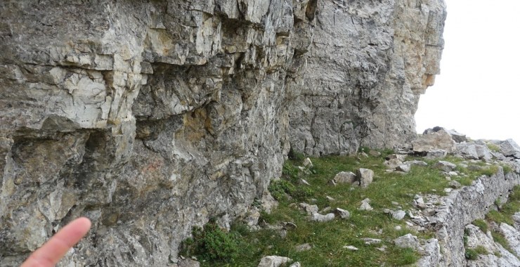Segnavia