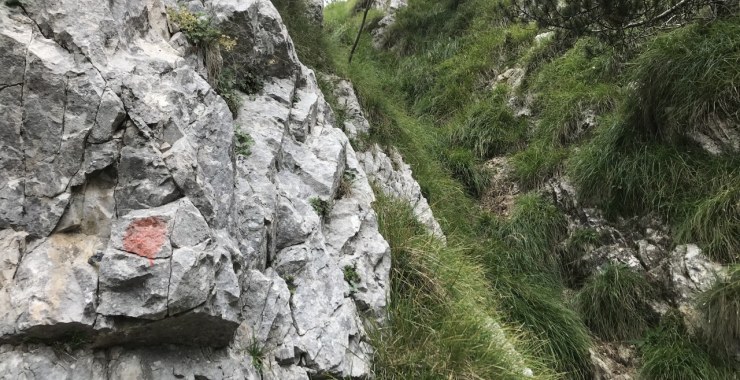 Canalino