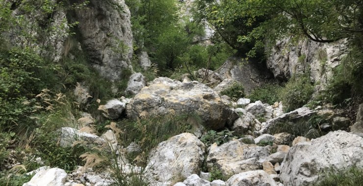 Voro dei Toni