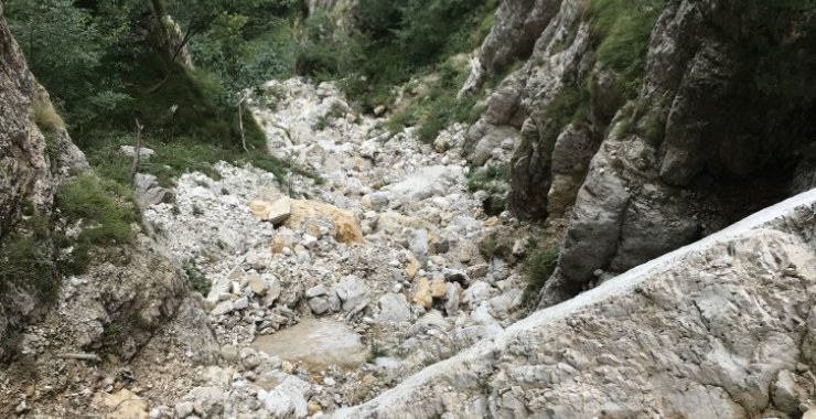 Voro dei Toni