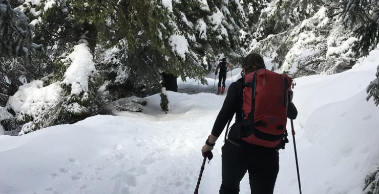 Skialp