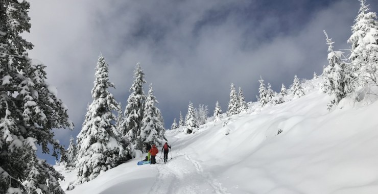 Uscita dal Bosco