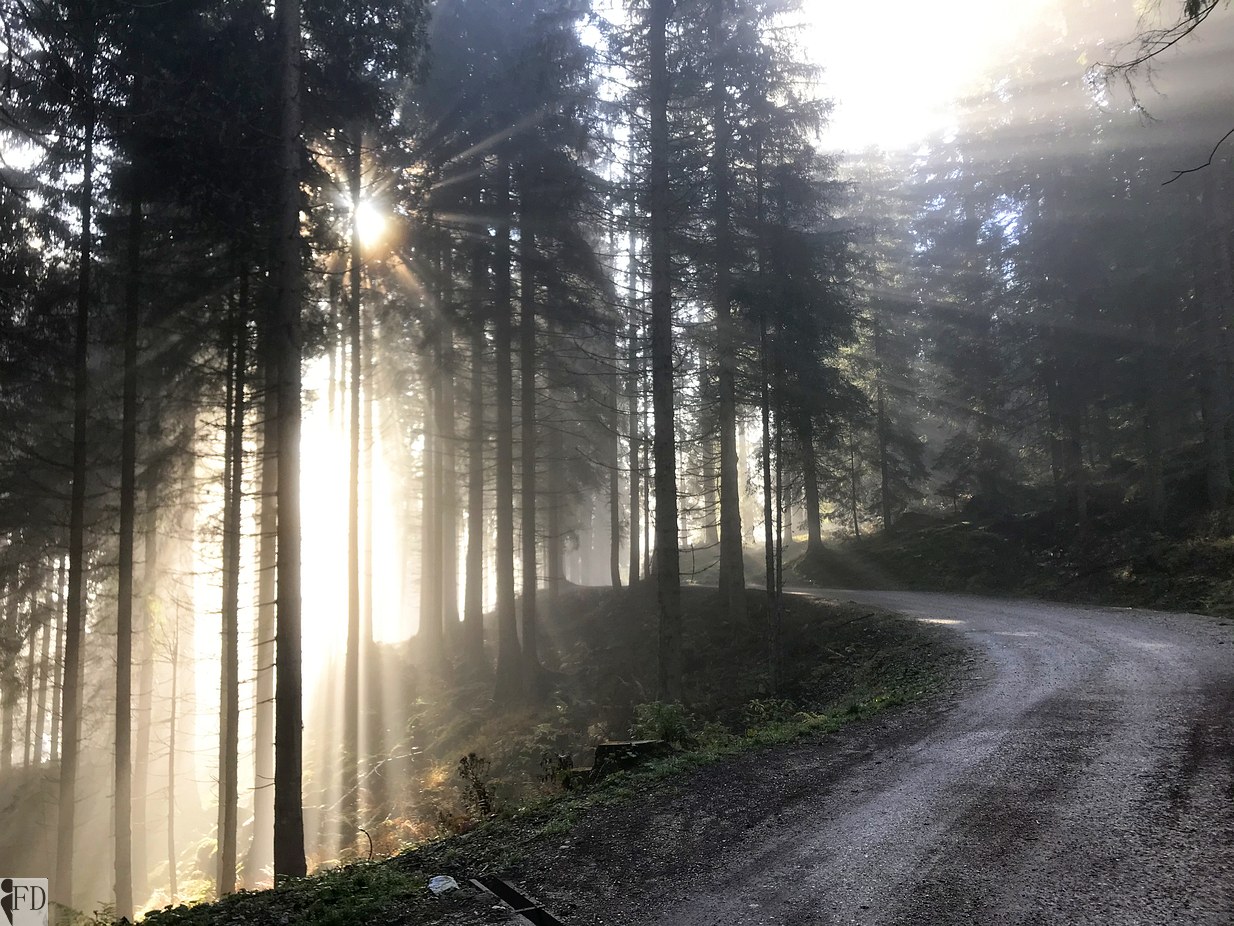Giochi di luce