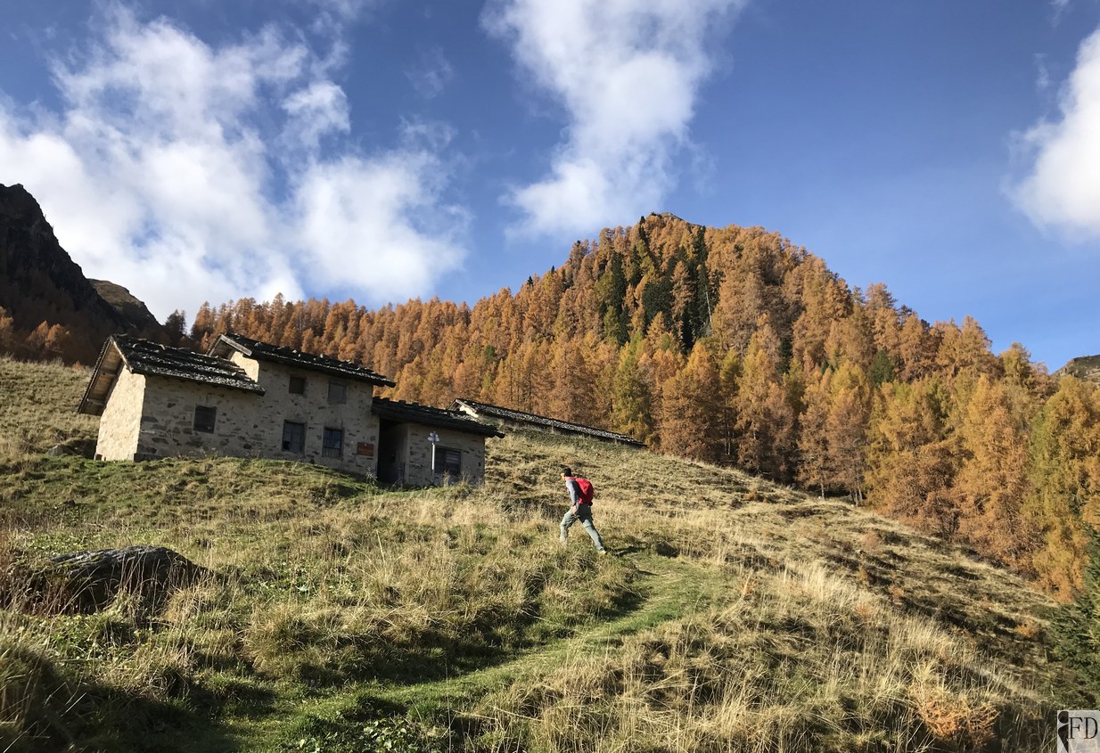 Malga Scanaiol