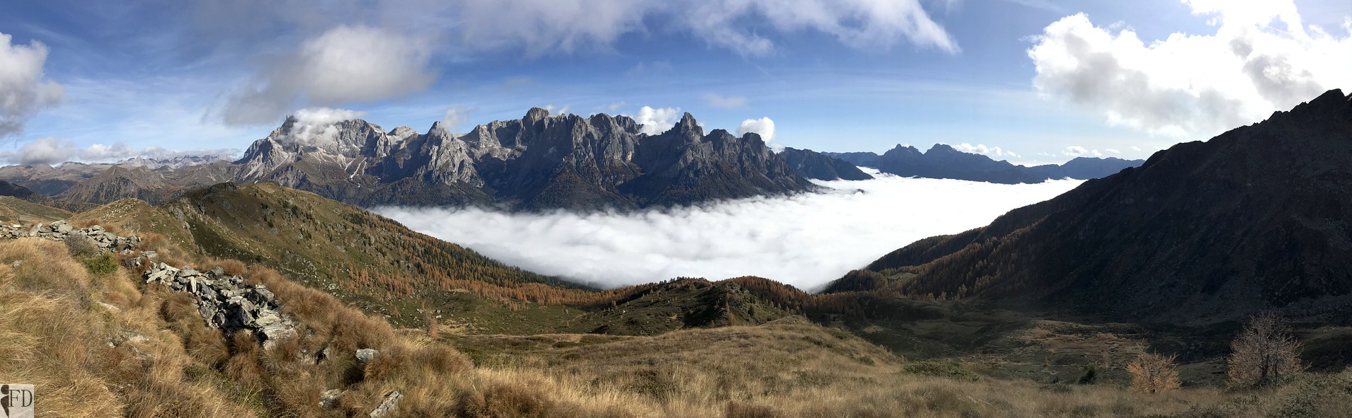 Panoramica Pale di San Martino