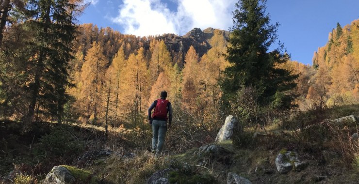 Boschi in autunno