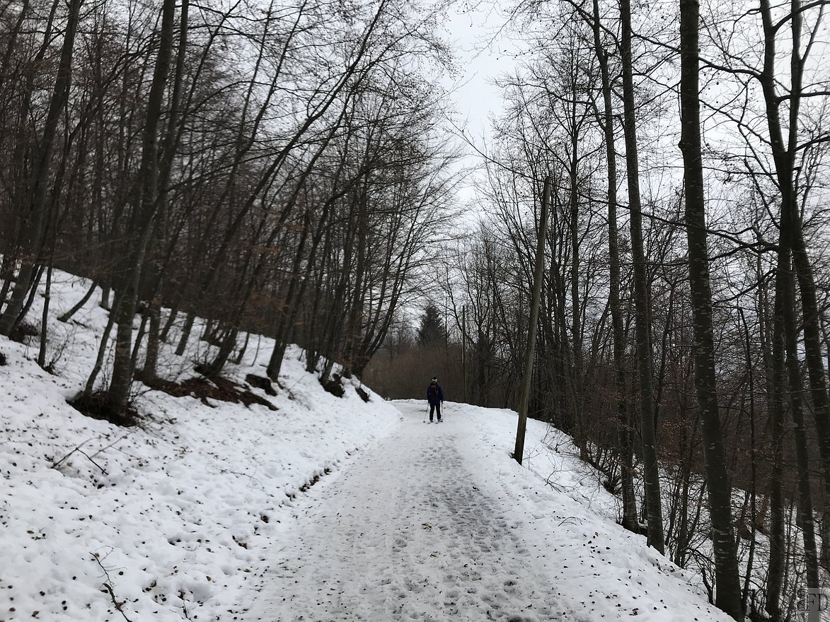 Strada di rientro