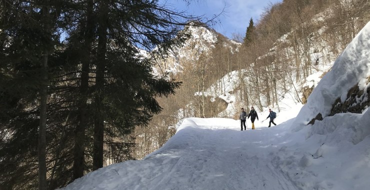 Strada innevata