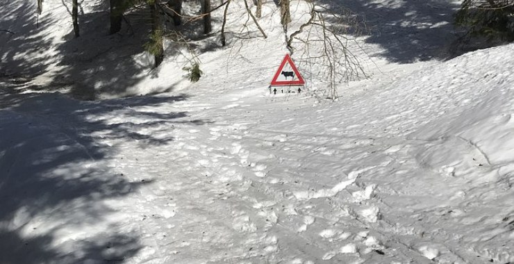 Tantissima neve