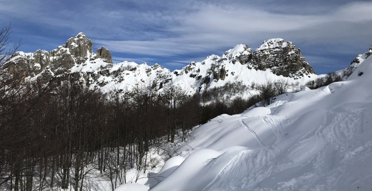 Bosco