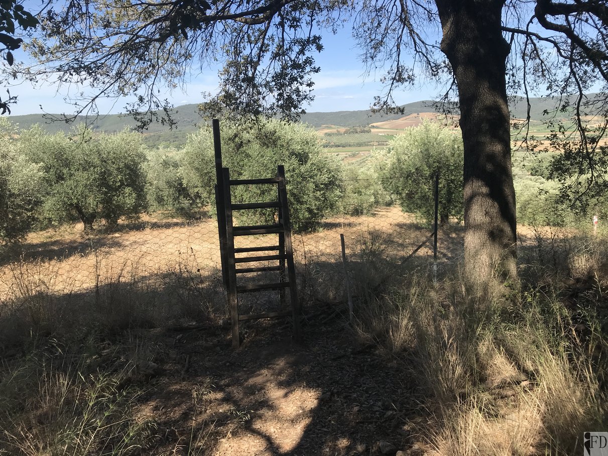 Scala per recinto