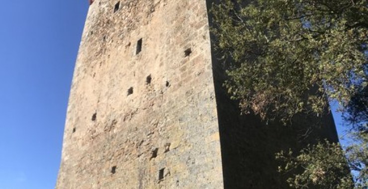 Torre Bassa