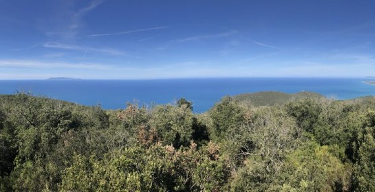 Maremma e mare