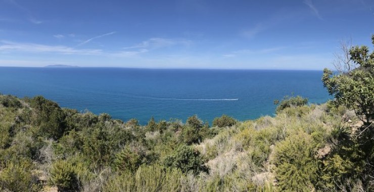 Panoramica Parco della Maremma