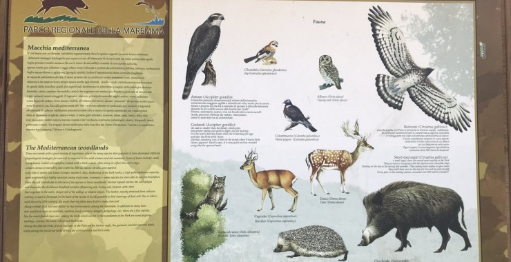 Indicazioni Parco della Maremma