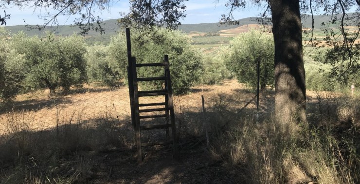 Scala per recinto