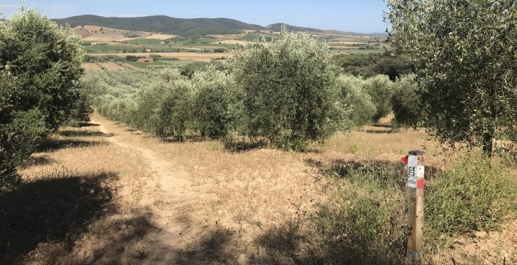 Ritorno