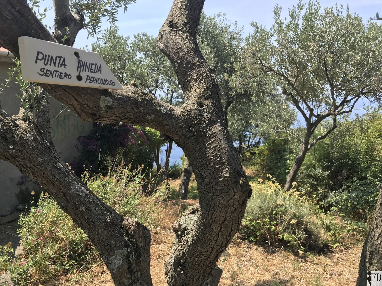 Segnaletica per Punta Pineda