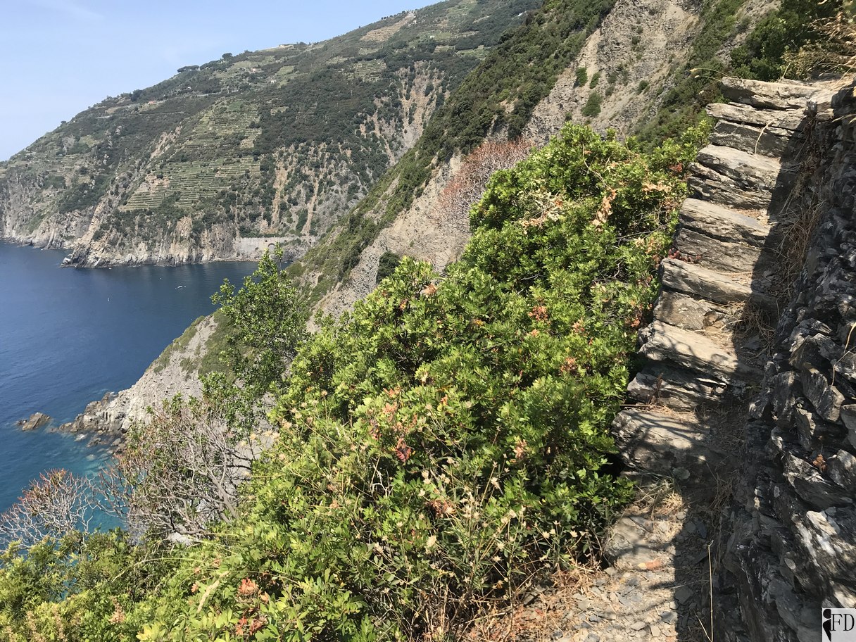Scalini nella roccia