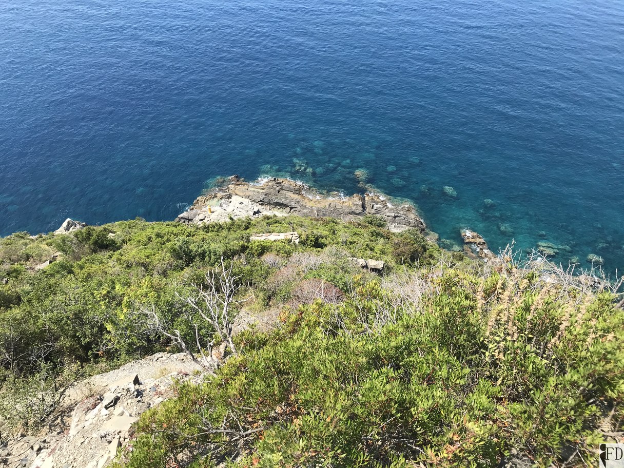 Punta Pineda