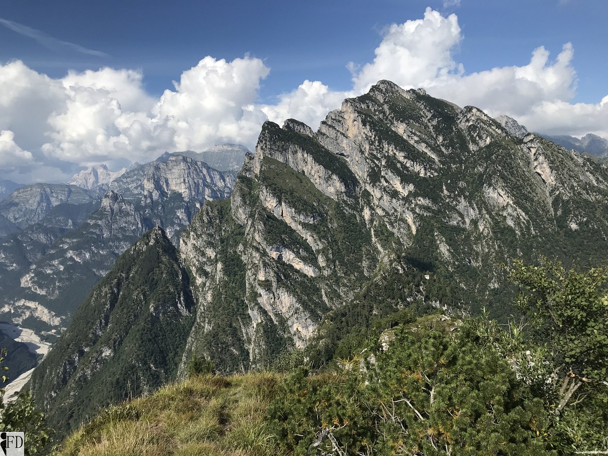 Pala Alta