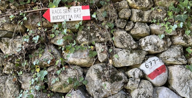 Indicazioni