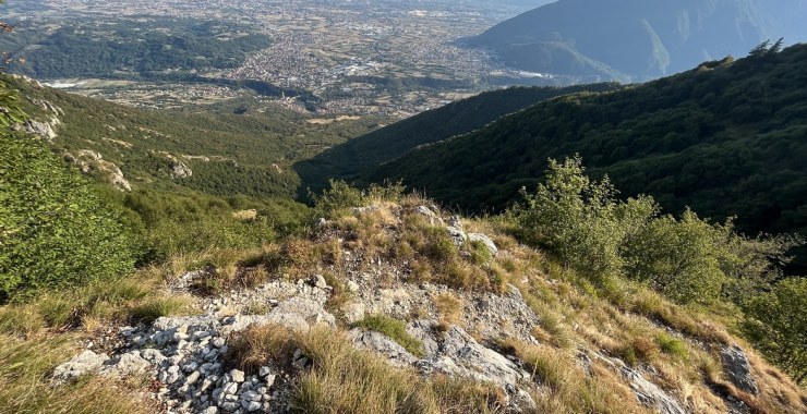 Panorama