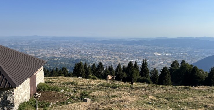 Panorama da Malga Sunio