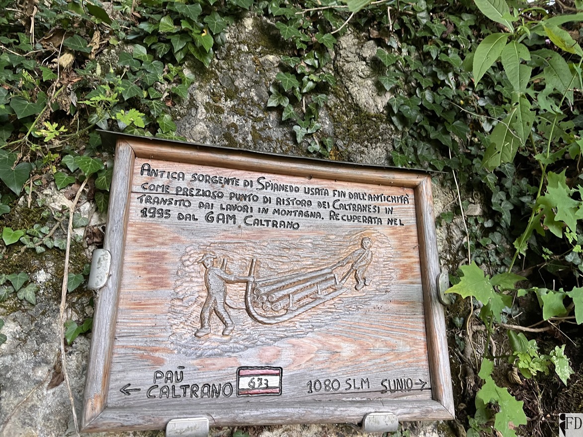 Sorgente di Spianedo