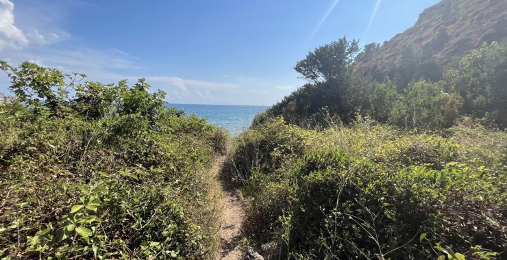 Sentiero per arrivare al mare