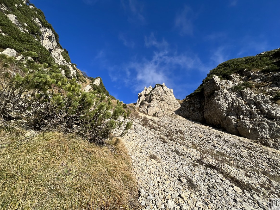 Verso la fine del Boale della Lorda