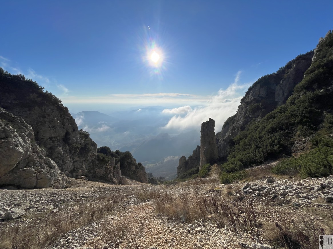 Boale della Lorda