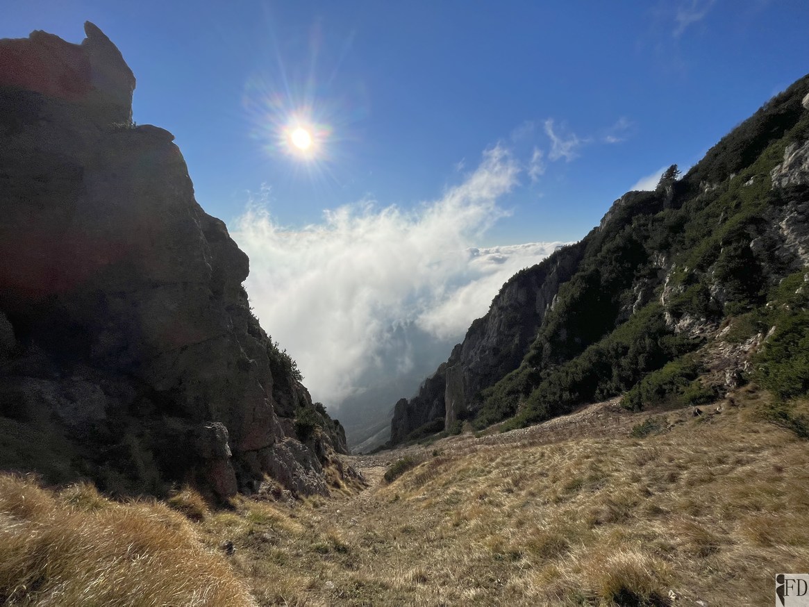 Boale della Lorda