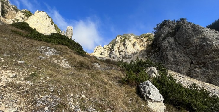 Boale della Lorda