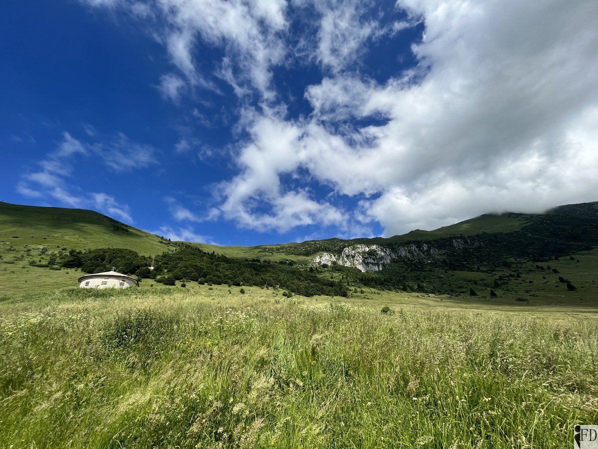 Malga Valfredda Crocetta