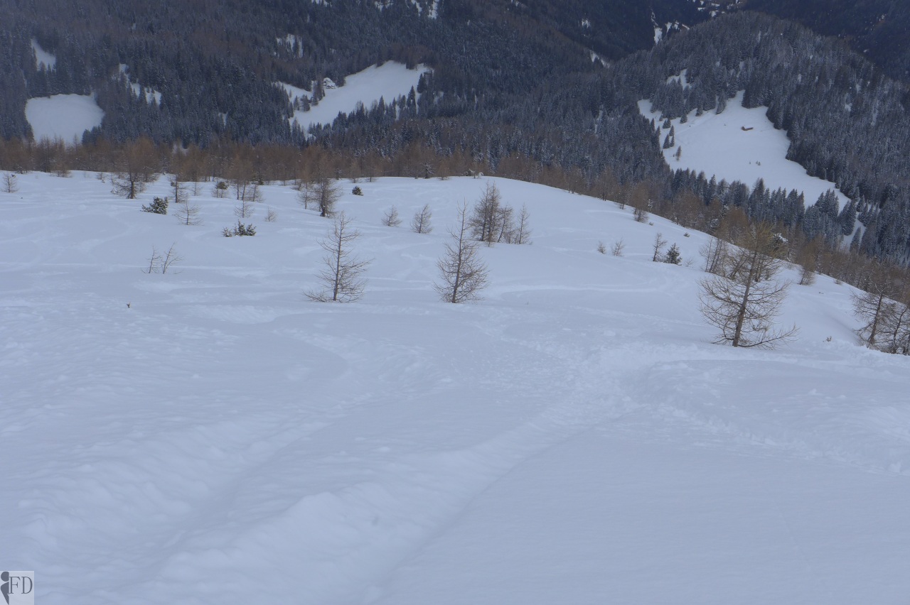 Powder snow