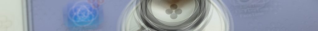 preview #1